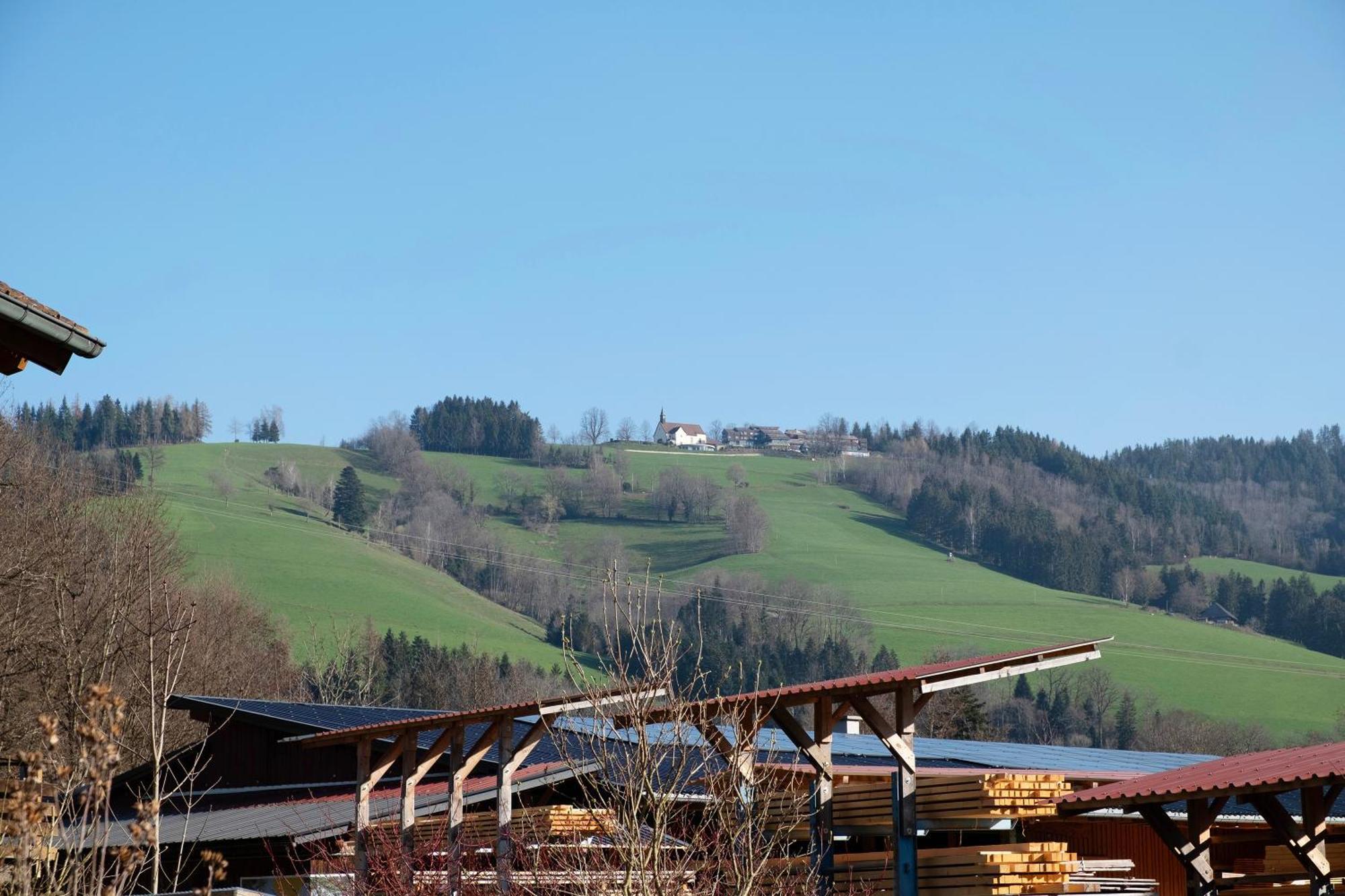 Ruhige Schwarzwald Ferienwohnung Buchenbach  Екстер'єр фото