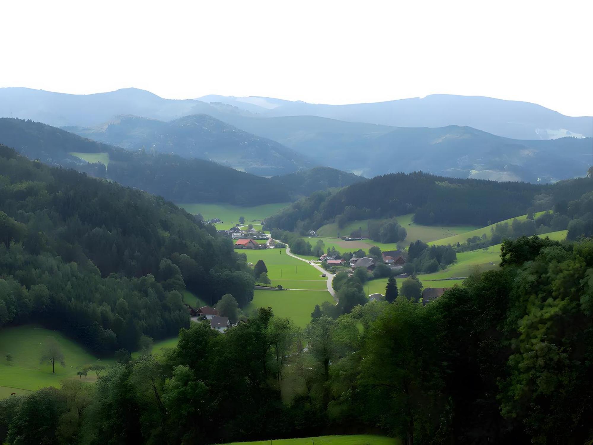 Ruhige Schwarzwald Ferienwohnung Buchenbach  Екстер'єр фото